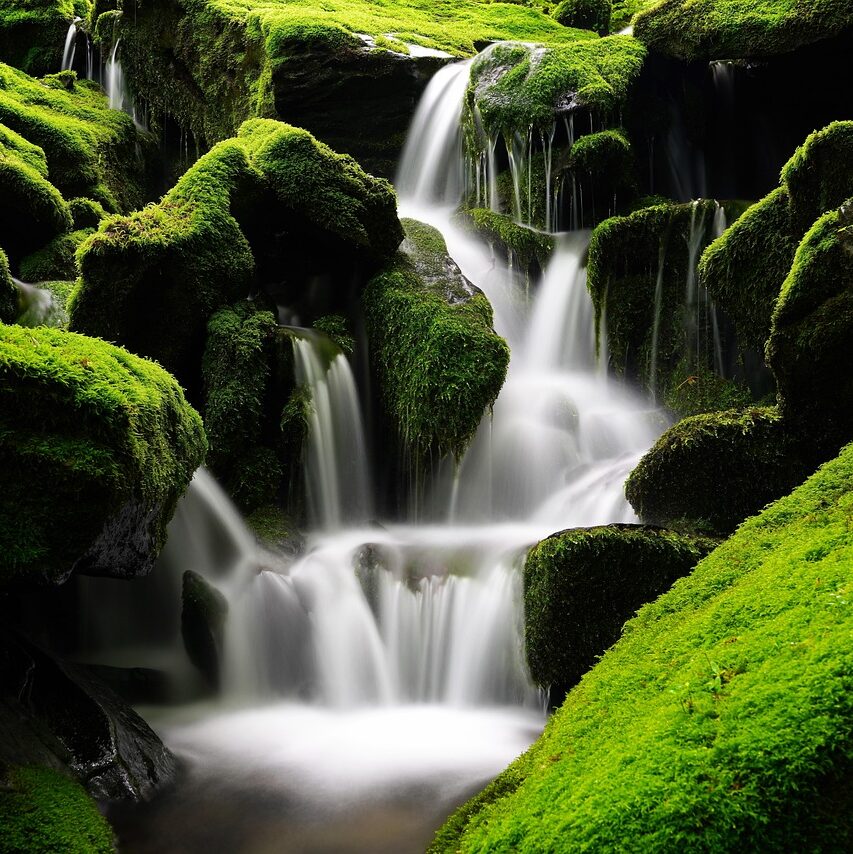 waterfall, moss, korea-5365926.jpg